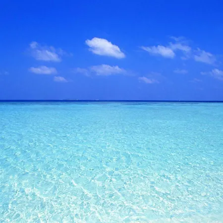Case Vacanze 